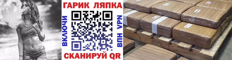 продажа наркотиков  darknet телеграм  Гашиш Premium  Чкаловск 
