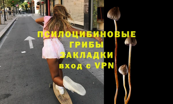 дмт Баксан