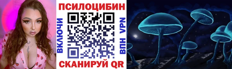 Псилоцибиновые грибы Psilocybe  купить  цена  Чкаловск 